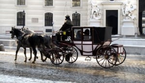 10.   Take a fiaker carriage ride