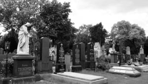 The Protestant, Jewish and Muslim Sections