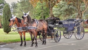 A Carriage Ride through the Cemetery...