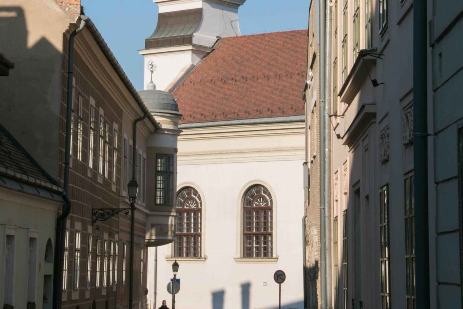 2 Hours Buda Castle Walking Tour - Walk with a Historian