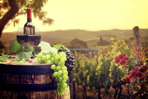 Excursión privada de un día de 4 castillos de Viena a Moravia del Sur