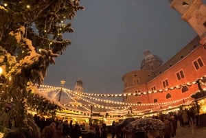 En magisk vinterdagstur fra Wien til Salzburg