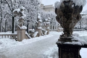 En magisk vinterdagstur fra Wien til Salzburg