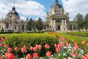 All day private trip : Vienna to Budapest & back, in English