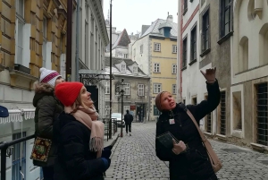 An Introduction to Vienna Walking Tour
