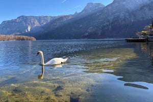 Österreich: Tagesausflug von Wien nach Hallstatt und Salzburg