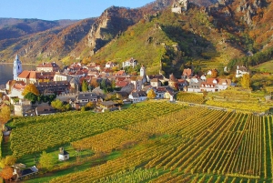 Österreich: Tagesausflug von Wien nach Hallstatt und Salzburg