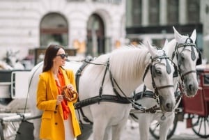 Austrian Food, Vienna Restaurants Self-Guided Tour Booklet