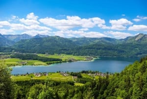 Austrian Lakes and Salzburg Private Tour from Vienna