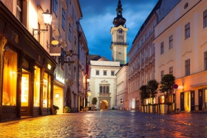 Lo mejor de Linz: tour privado a pie con un guía local