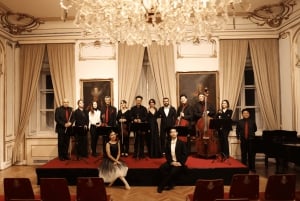 Best of Mozart & Strauss