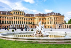Il meglio del tour di 1 giorno di Vienna in auto con i biglietti per Schonbrunn