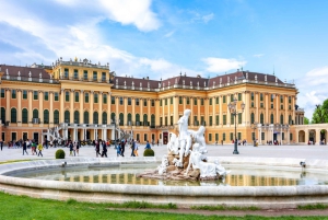 Best of Vienna 1-Day Tour by Car with Schonbrunn Tickets