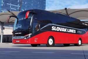 Bratislava: Bus Transfer to/from Vienna Airport