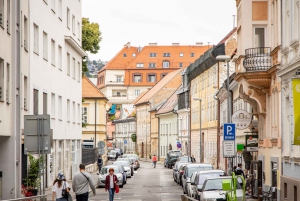 From Vienna: Bratislava Grand City Day Tour
