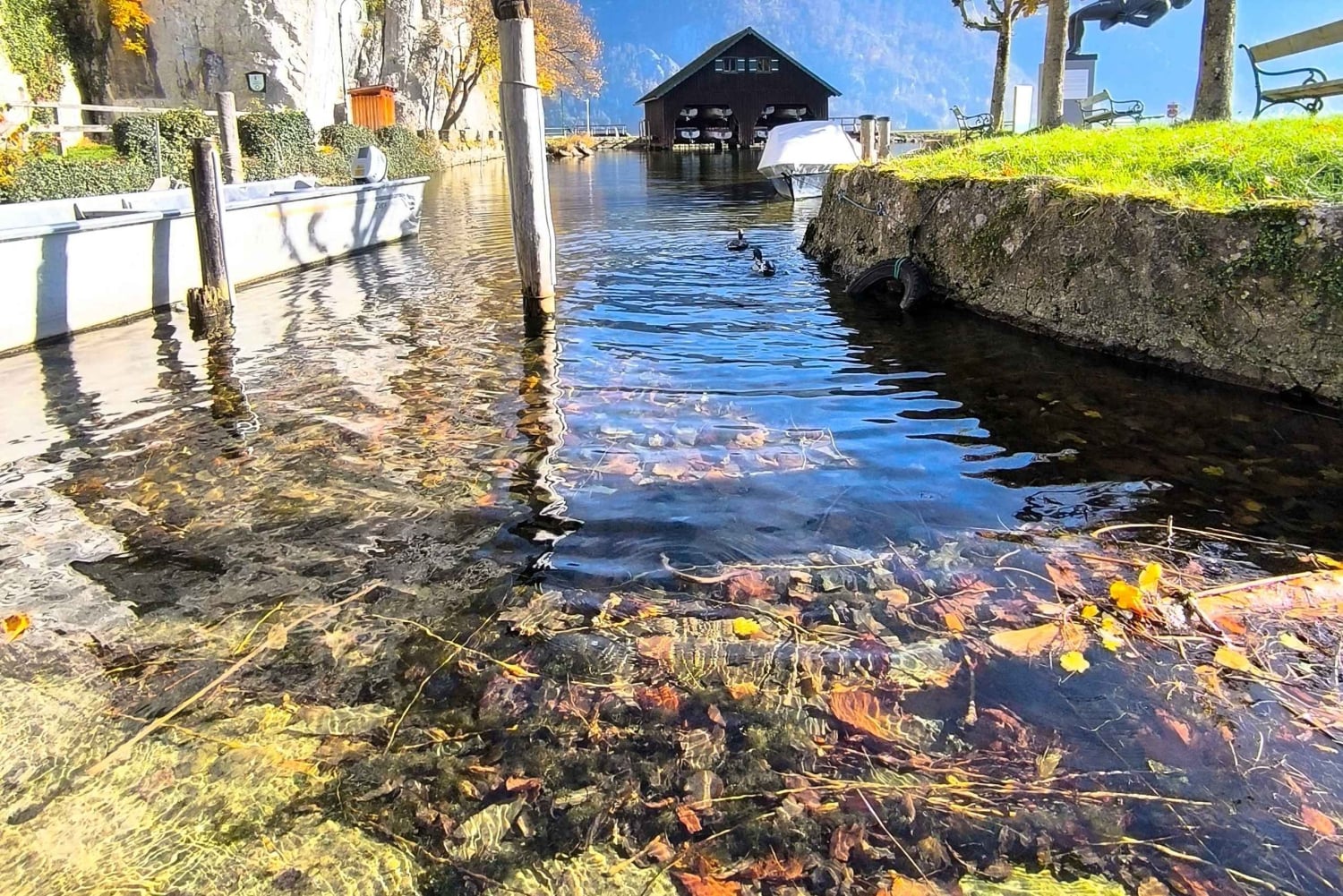 Bratislava eller Wien: Dagsutflykt till Hallstatt och Salzburg