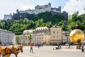 Bratislava eller Wien: Dagsutflykt till Hallstatt och Salzburg