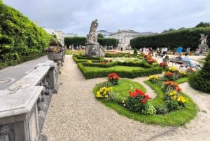 Bratislava eller Wien: Dagsutflykt till Hallstatt och Salzburg