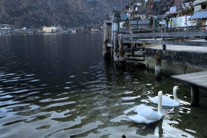 Bratislava eller Wien: Dagsutflykt till Hallstatt och Salzburg