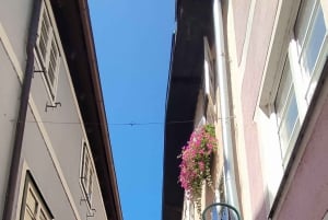 Bratislava/Wenen: dagtrip naar Melk, Salzburg en Hallstatt