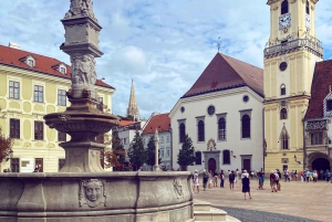 Bratislava paikallisen kanssa: Bratislavassa: Yksityinen kiertoajelu Wienistä