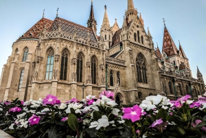 Exploración de Budapest para viajeros en solitario con acompañante local