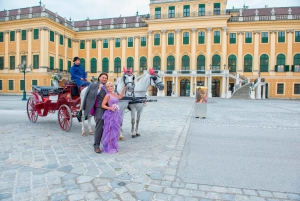 Carriage Ride Through Schönbrunn Palace Gardens