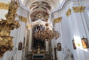 Vienna: Day Trip - Castles around Vienna + underground lake