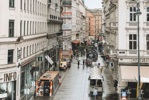 Charmante privéwandeltour voor gezinnen in Wenen