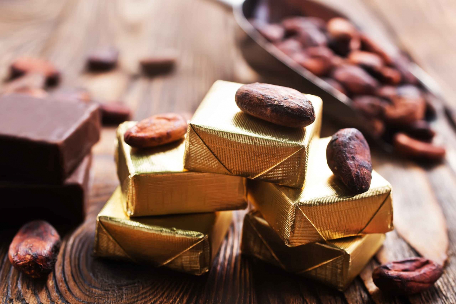 Vienna: Chocolate Museum with Chocolatier Workshops