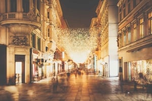 Viagem de 1 dia de Natal de Budapeste a Viena e regresso