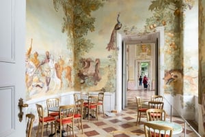 Julmagi: Wachau, Melk Abbey och Donau-dalarna