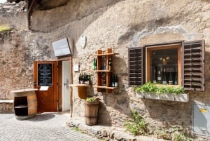 Julmagi: Wachau, Melk Abbey och Donau-dalarna