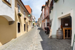 Julmagi: Wachau, Melk Abbey och Donau-dalarna