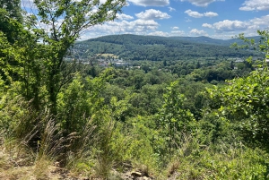 Yhdistetty lippu: Ernst Fuchs -museo ja Otto Wagnerin alue älypuhelinsovelluksella