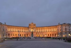 Combo ticket: Imperial Treasury & New Hofburg Palace Tour