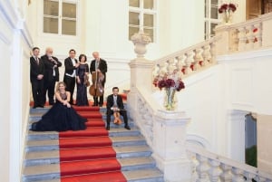 Concert by the Vienna Baroque Orchestra