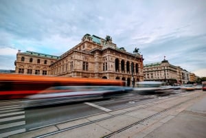 Scopri Vienna in un tour privato di 2 ore