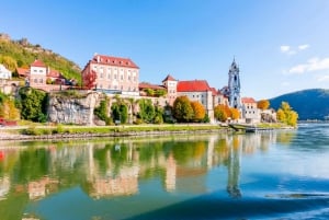 Danube Valley Delights: A Vienna Day Adventure