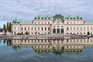 Descubre los monumentos de Viena en un tour exprés privado