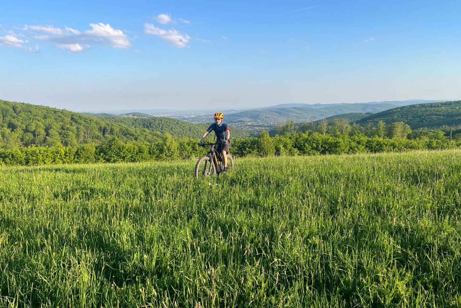 E-MTB Tour Vienna: Three lookout points in the Vienna Woods with a guide