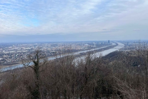 Recorrido en bicicleta eléctrica por Viena: tres miradores en el bosque de Viena con guía
