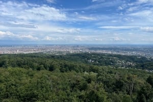 Recorrido en bicicleta eléctrica por Viena: tres miradores en el bosque de Viena con guía