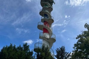 Recorrido en bicicleta eléctrica por Viena: tres miradores en el bosque de Viena con guía