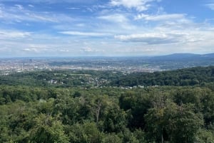 Recorrido en bicicleta eléctrica por Viena: tres miradores en el bosque de Viena con guía
