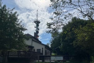 Recorrido en bicicleta eléctrica por Viena: tres miradores en el bosque de Viena con guía
