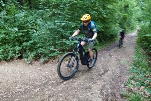 E-MTB-tour Wenen: drie uitkijkpunten in het Wienerwald met gids