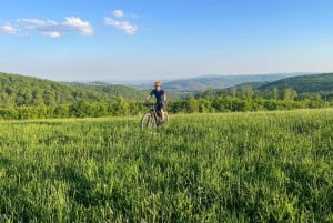 E-MTB-tour Wenen: drie uitkijkpunten in het Wienerwald met gids