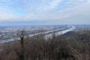 E-MTB-tour Wenen: drie uitkijkpunten in het Wienerwald met gids