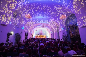 Vienna: Schönbrunn Palace Evening Tour, Dinner and Concert